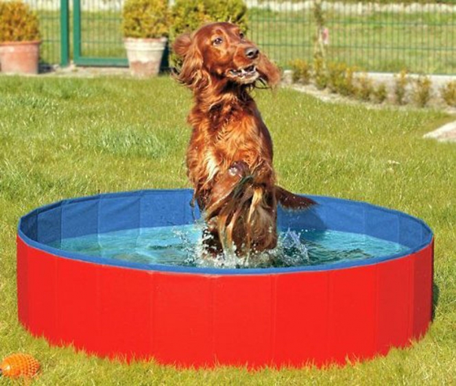 Karlie DOGGY POOL der Swimmingpool für Hunde - Rot-Blau - 120 cm