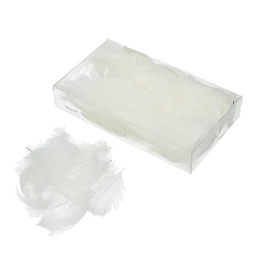 Deko-Federn Klarsichtbox ~ 90 mm 15 g ~ 270 Stück weiß