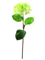 Hortensienzweig, grün, 76cm, Kunstpflanze