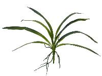 Orchideenblatt grün, 45cm, Kunstpflanze