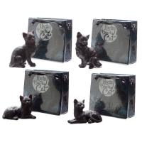 Glückliche Schwarze Katze in einer Mini Geschenktasche (pro Stück)