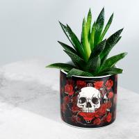 Macetero de cerámica para interior Skulls & Roses - Pequeño