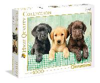 High Quality Collection - 1000 Teile Puzzle - Drei Labradore